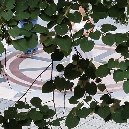 Διαμέρισμα Alexandrovska - Super Centar Luxury Μπουργκάς