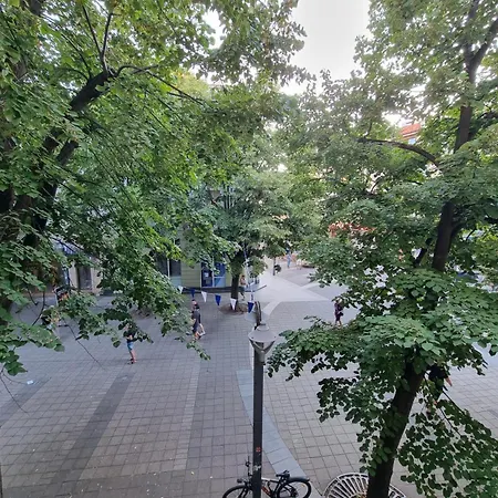 Apartment Alexandrovska - Super Centar Luxury