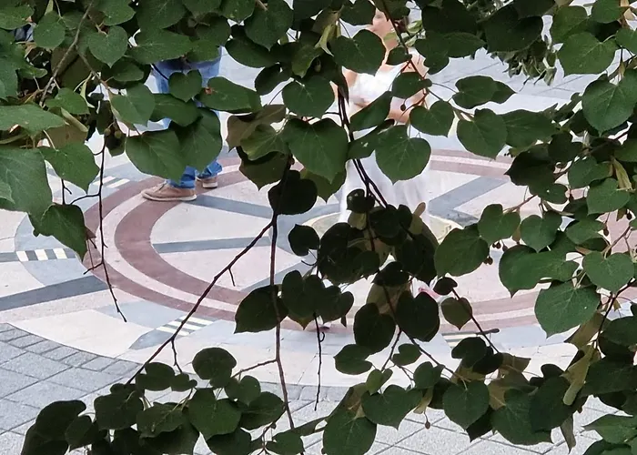 Appartement Alexandrovska - Super Centar Luxury Burgas